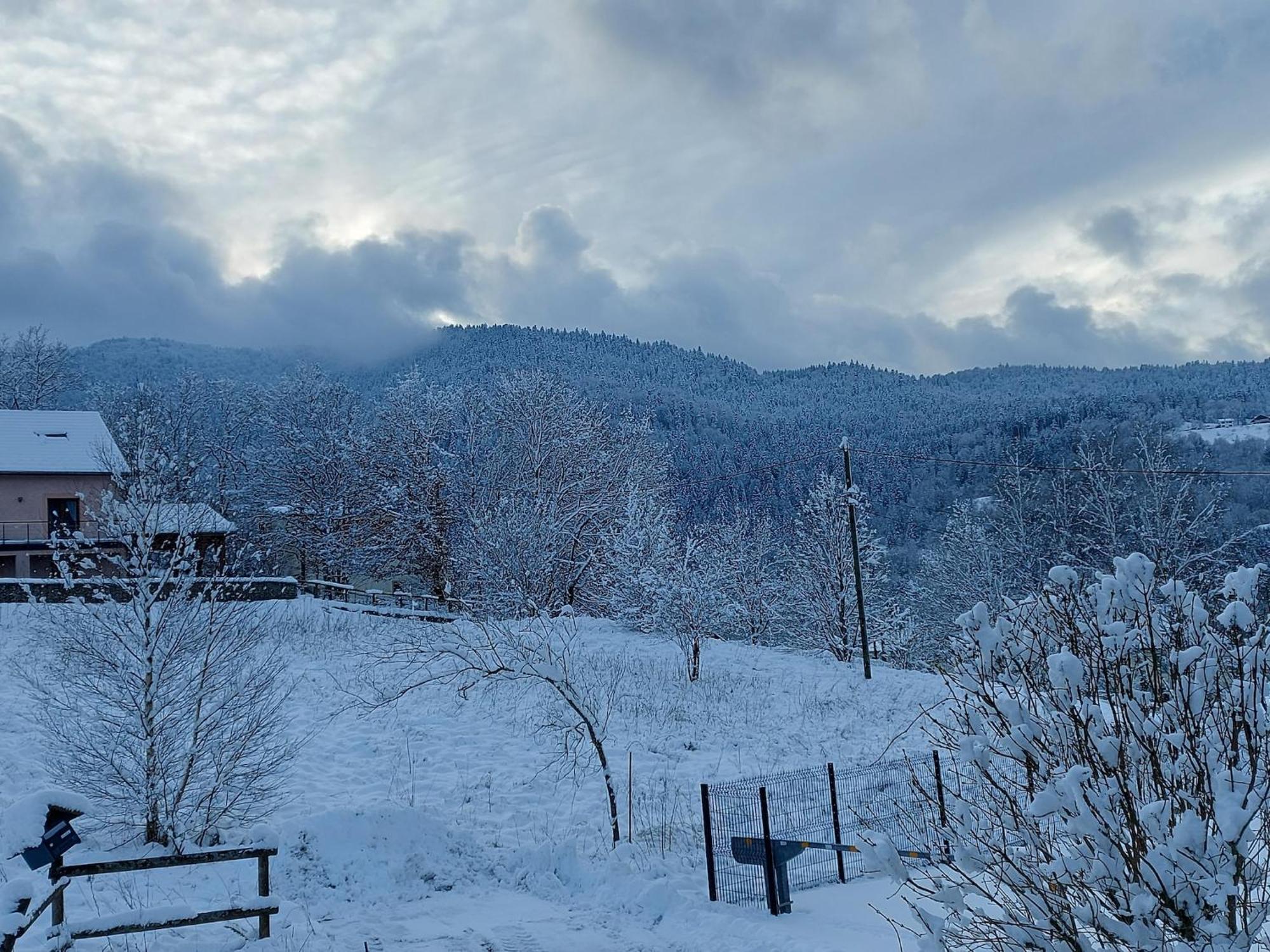 Nice Chalet With Sauna In Vosges Saint-Maurice-sur-Moselle Zewnętrze zdjęcie